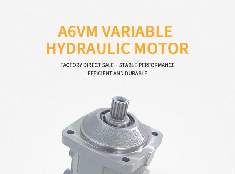 A6VM Series Hydraulic Motor pic2